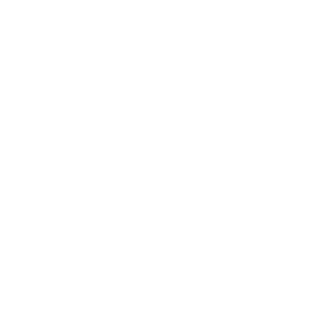 TSW-logo